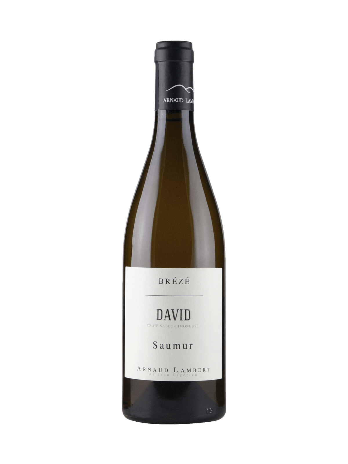 Arnaud Lambert 'David'