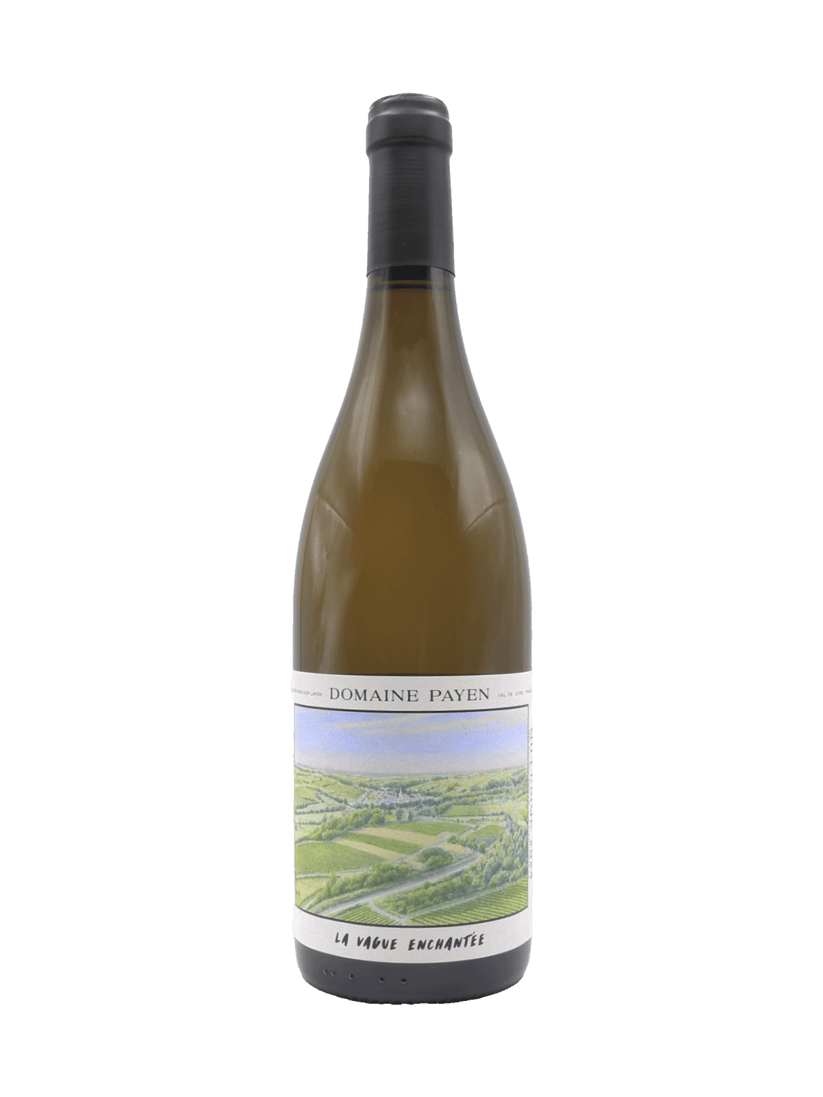 Dom. Payen Anjou Chenin La Vague Enchantee