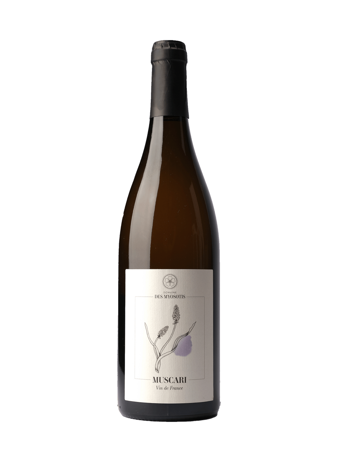 Domaine Myosotis Muscari Blanc