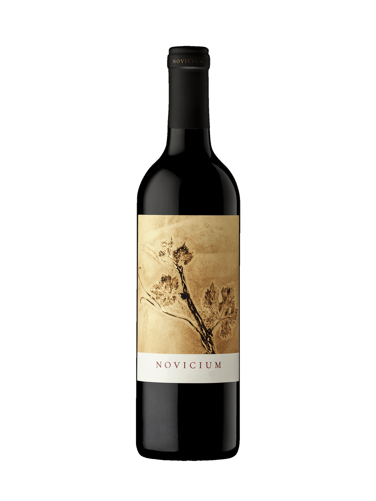 Novicium Continuum by Tim Mondavi