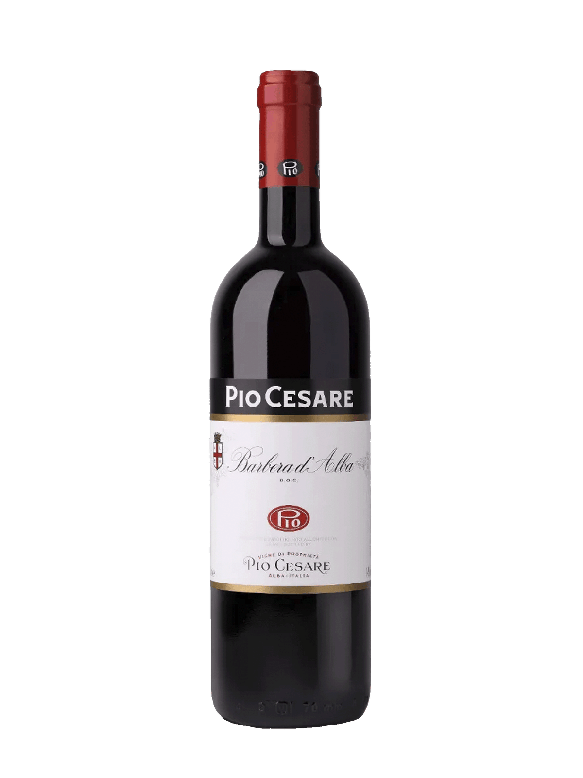 Pio Cesare Barbera d'Alba Magnum