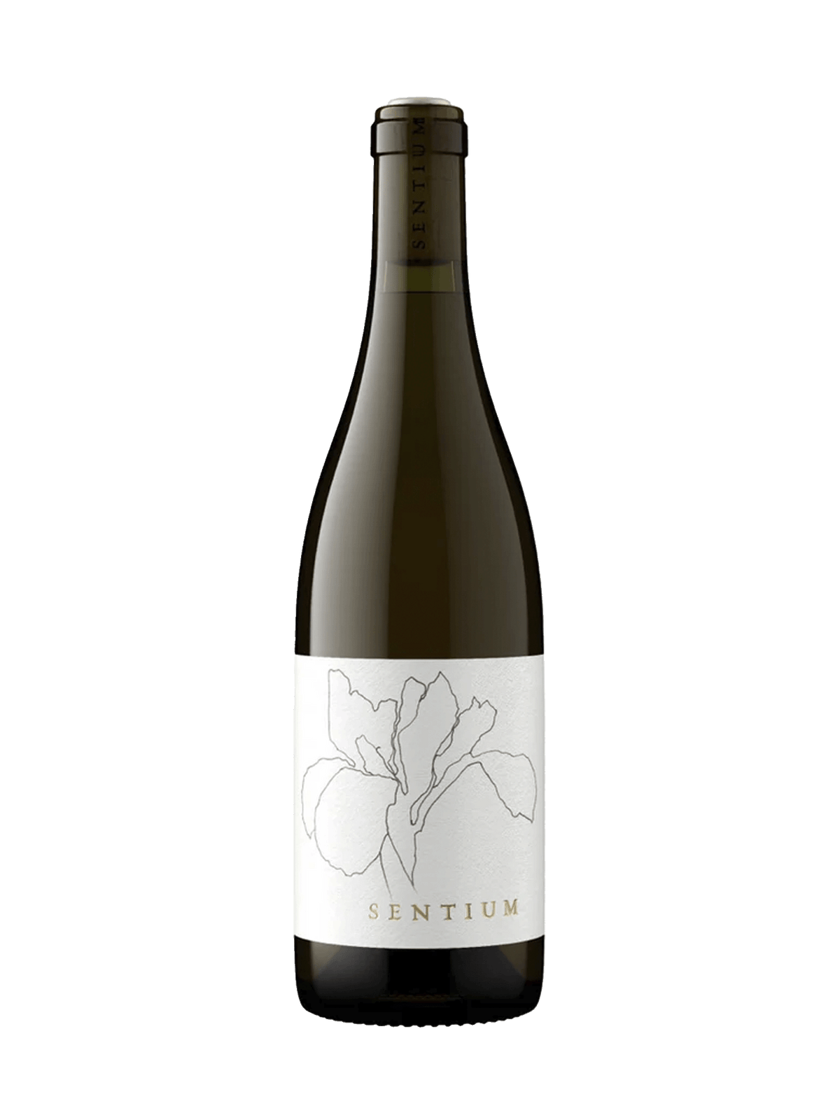 Sentium Sauvignon Blanc Mendocino