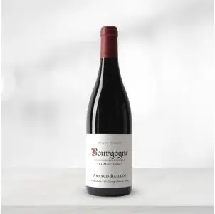 Arnaud Baillot Bourgogne Rouge La Montagne - Pinot Noir