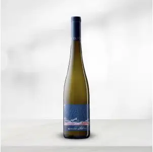 F.X. Pichler Riesling Unendlich - Riesling vin