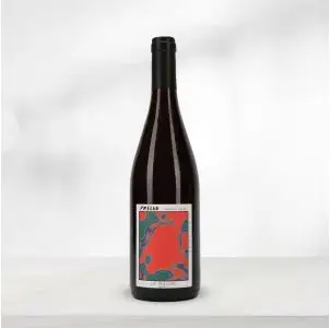 Domaine Payen Rouge Grolleau Val de Loire - Domaine Payen