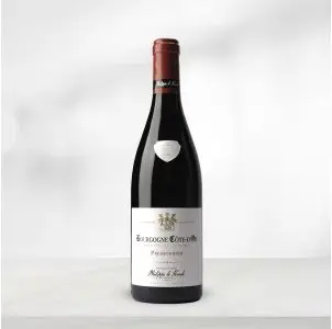 Vin rouge Bourgogne Côte-D'or Pressonnier 2019 Château de Santenay 75cl