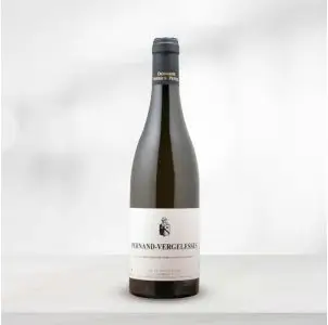 Patrick Pestre Pernand-Vergelesses Blanc - Chardonnay vin